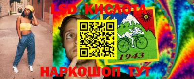 СК Сланцы
