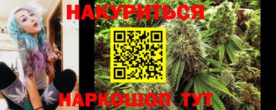 СК Сланцы