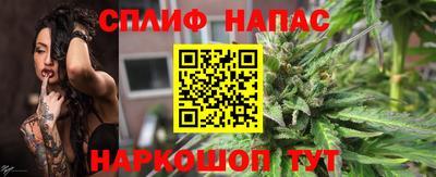 СК Сланцы